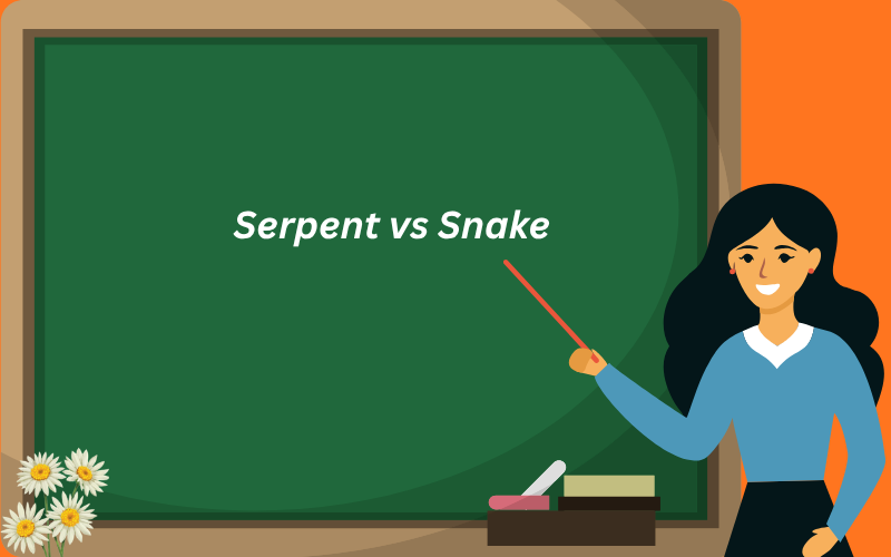 serpent vs snake