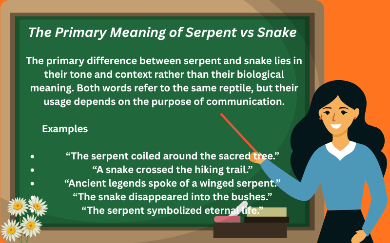 serpent vs snake