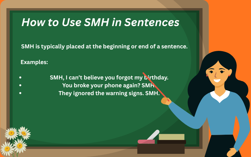 smh meaning in texting