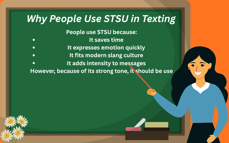 stsu meaning in text
