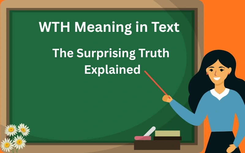 wth meaning in text