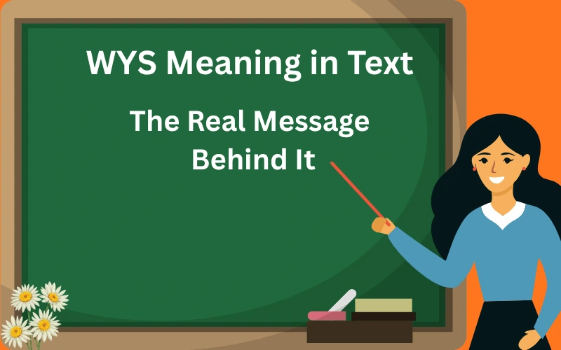 wys meaning in text