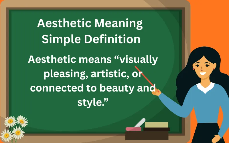 aesthetic meaning