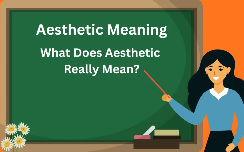 aesthetic meaning