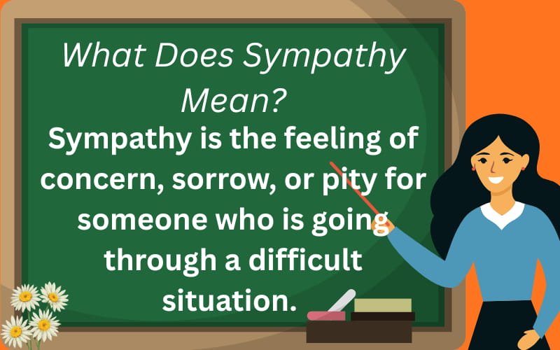 empathy vs sympathy