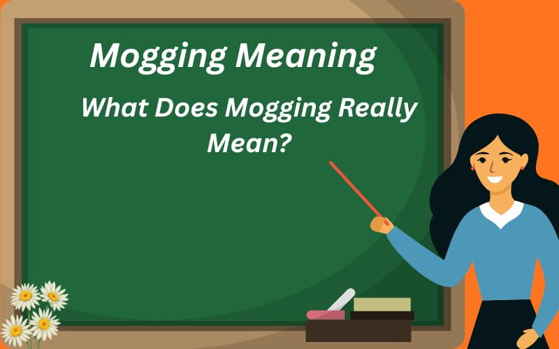 mogging meaning