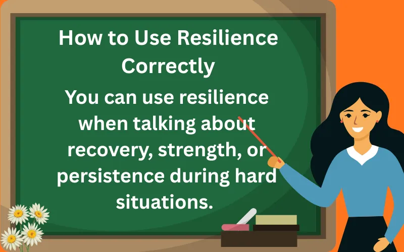 resilience meaning