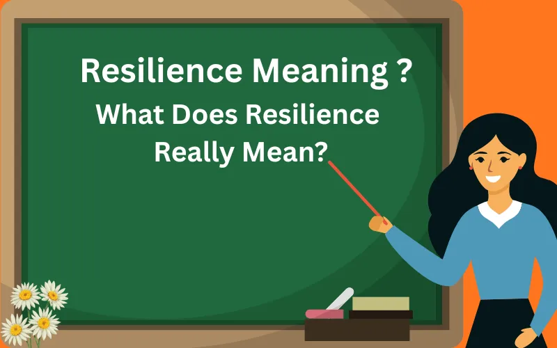 resilience meaning
