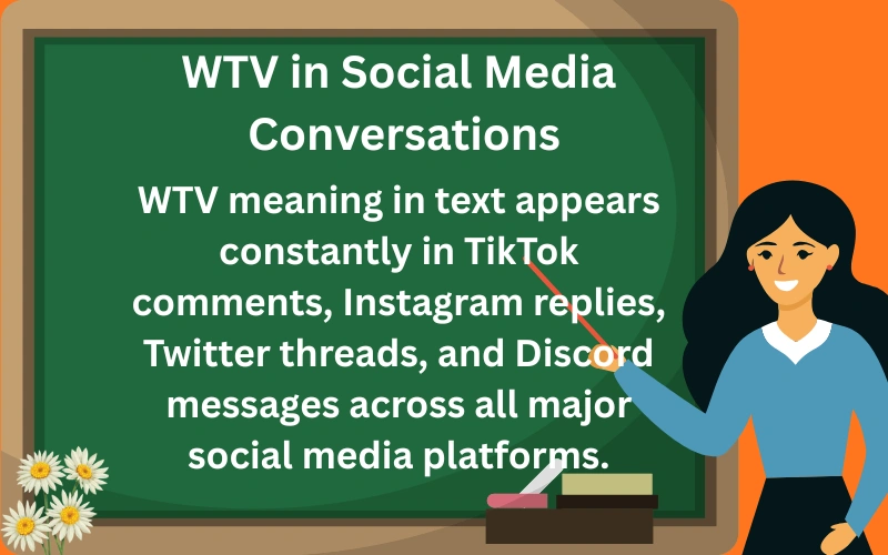 wtv meaning in text