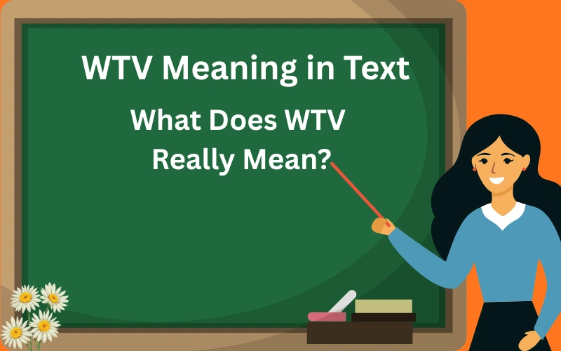 wtv meaning in text