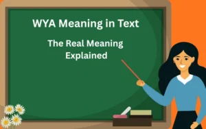 wya meaning in text