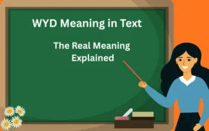 wyd meaning in text