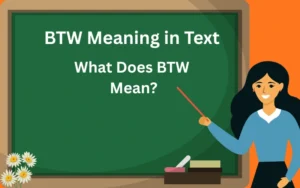btw meaning in text
