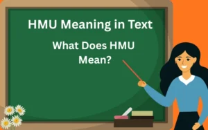 hmu meaning in text